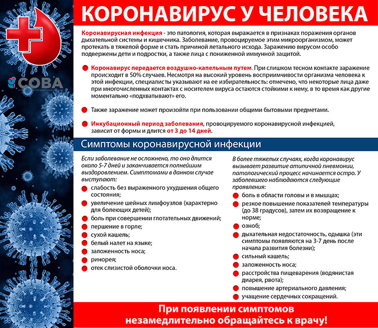 Kronovirus_2020.jpg