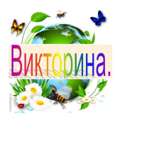 #стопгаджетам - четвертый день марафона