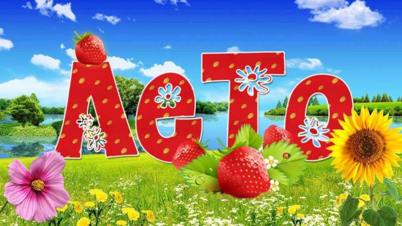 Какое же замечательное и удивительное время года - лето!