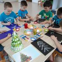 Хвойные деревья родного края
