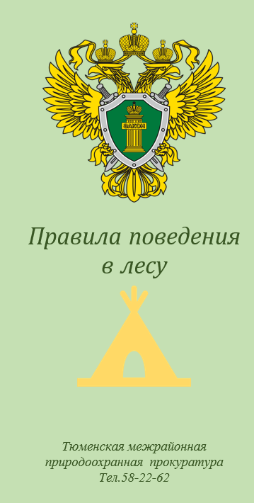 Правила поведения в лесу!