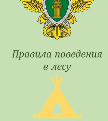 Правила поведения в лесу!