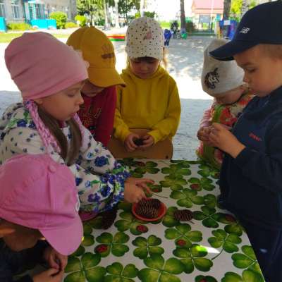 Что из чего и для чего?