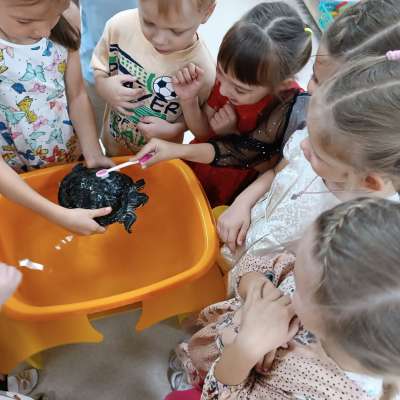  «Много в мире есть зверей, ты про них узнай скорей!» 