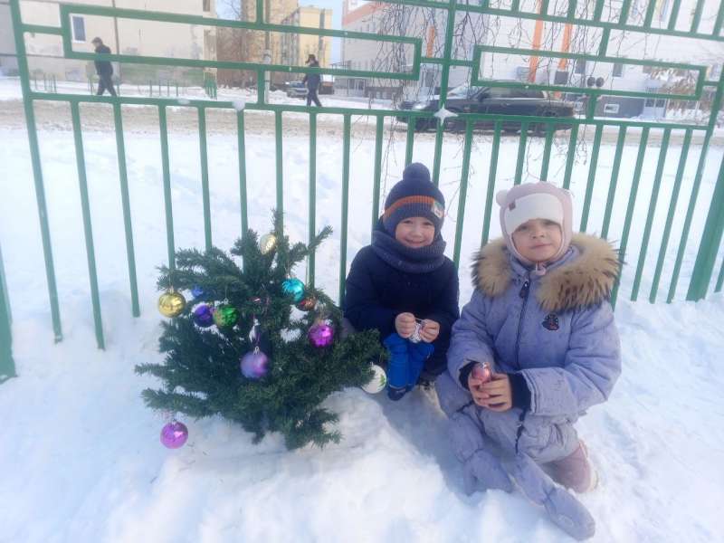 Зимние прогулки