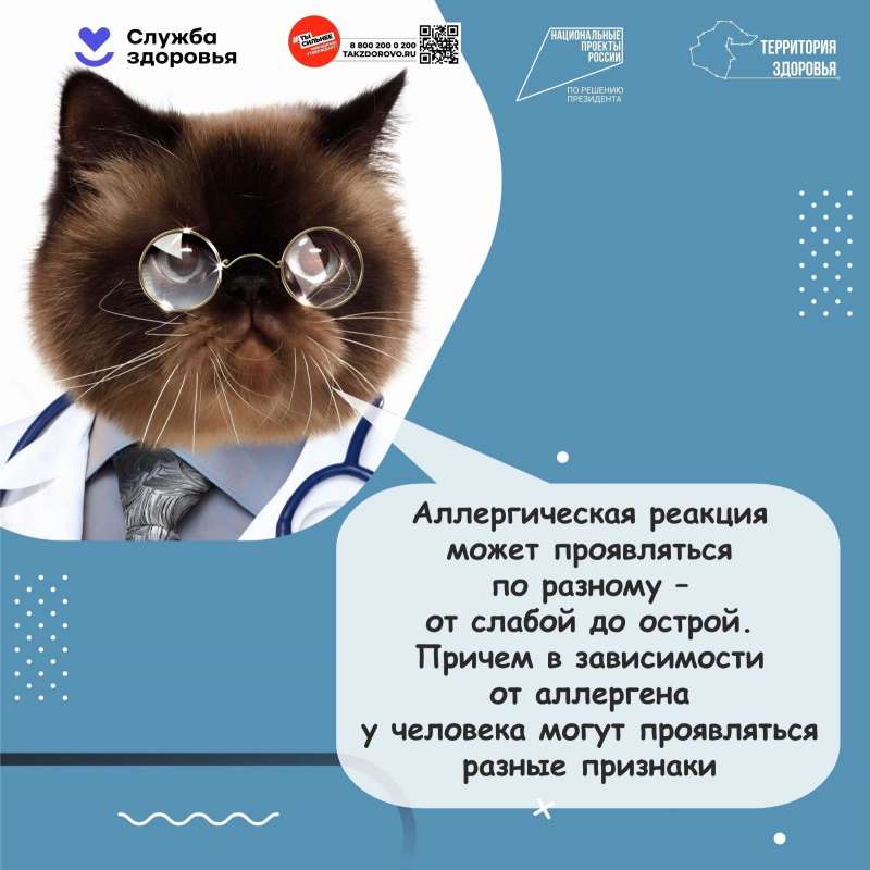 Всё об аллергии