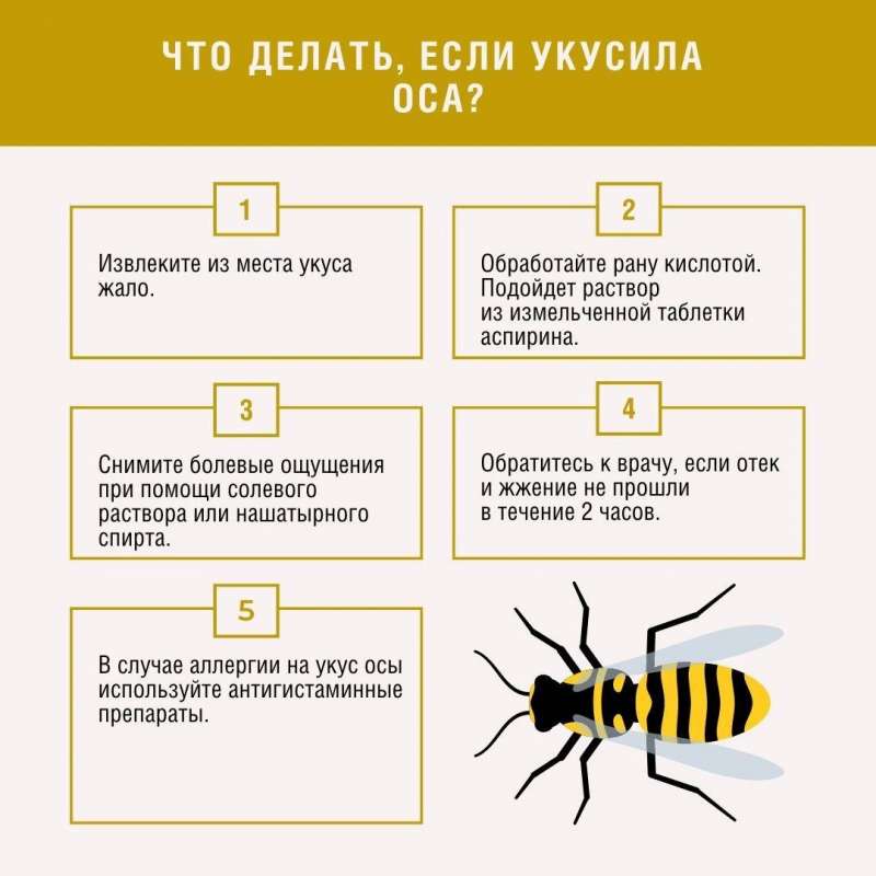 Если укусила оса