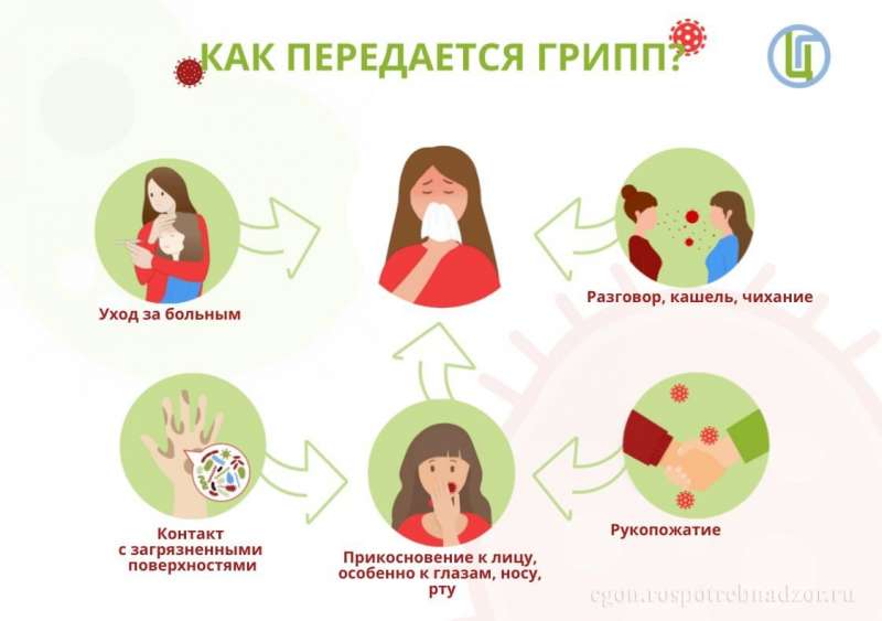 О различиях симптомов ГРИППА и ОРВИ