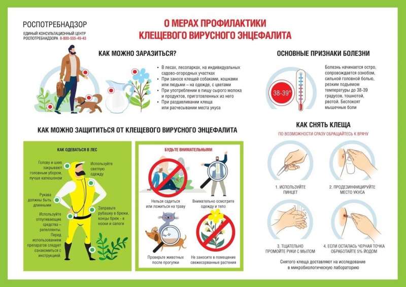 Весна! Внимание!